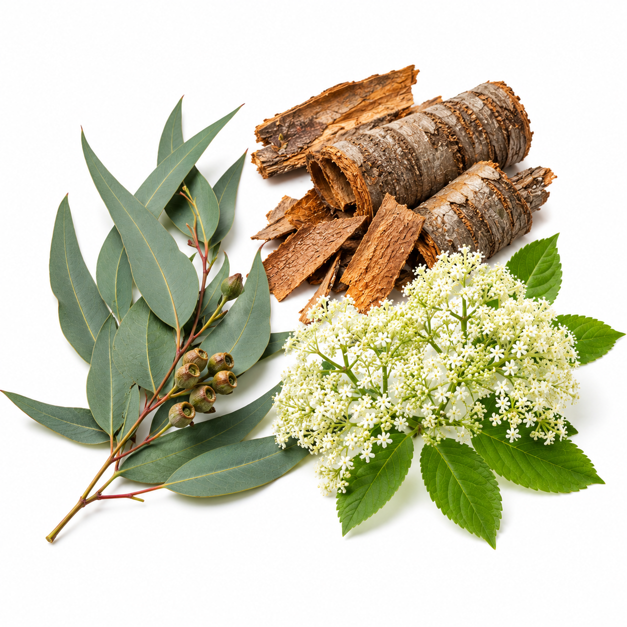 Anti-aging active