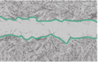 Non-treated group Fibroblasts
